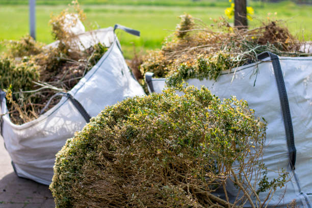 Best Hoarding Cleanup  in Eldersburg, MD